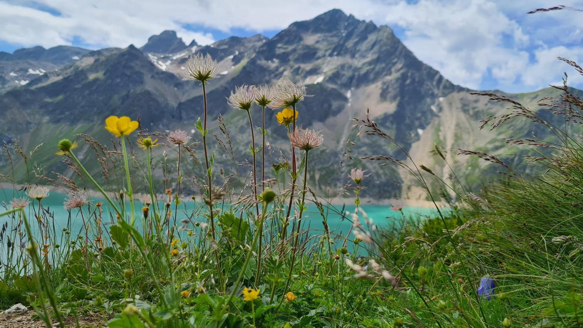 Gaestehaus Landhaus Tyrol กรีส อิม เซลเรน ภายนอก รูปภาพ