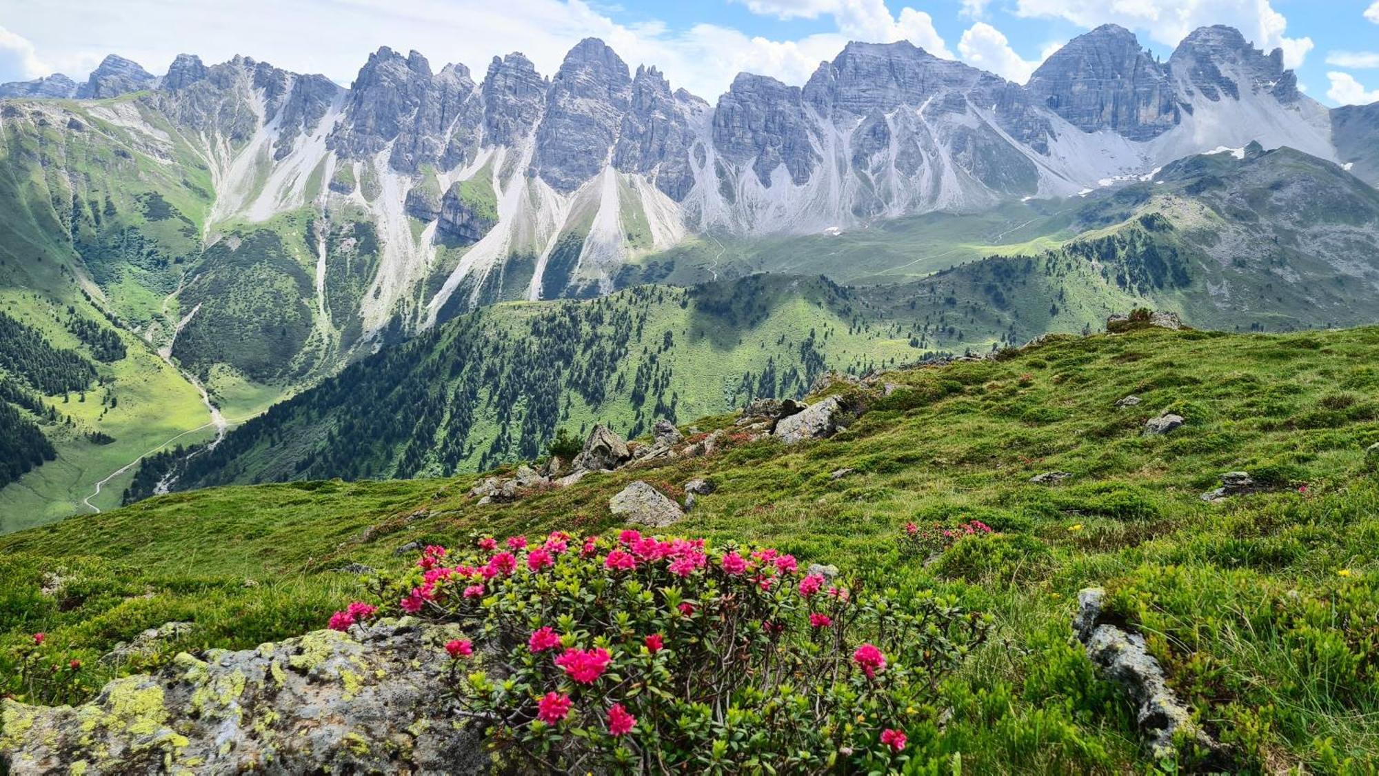 Gaestehaus Landhaus Tyrol กรีส อิม เซลเรน ภายนอก รูปภาพ