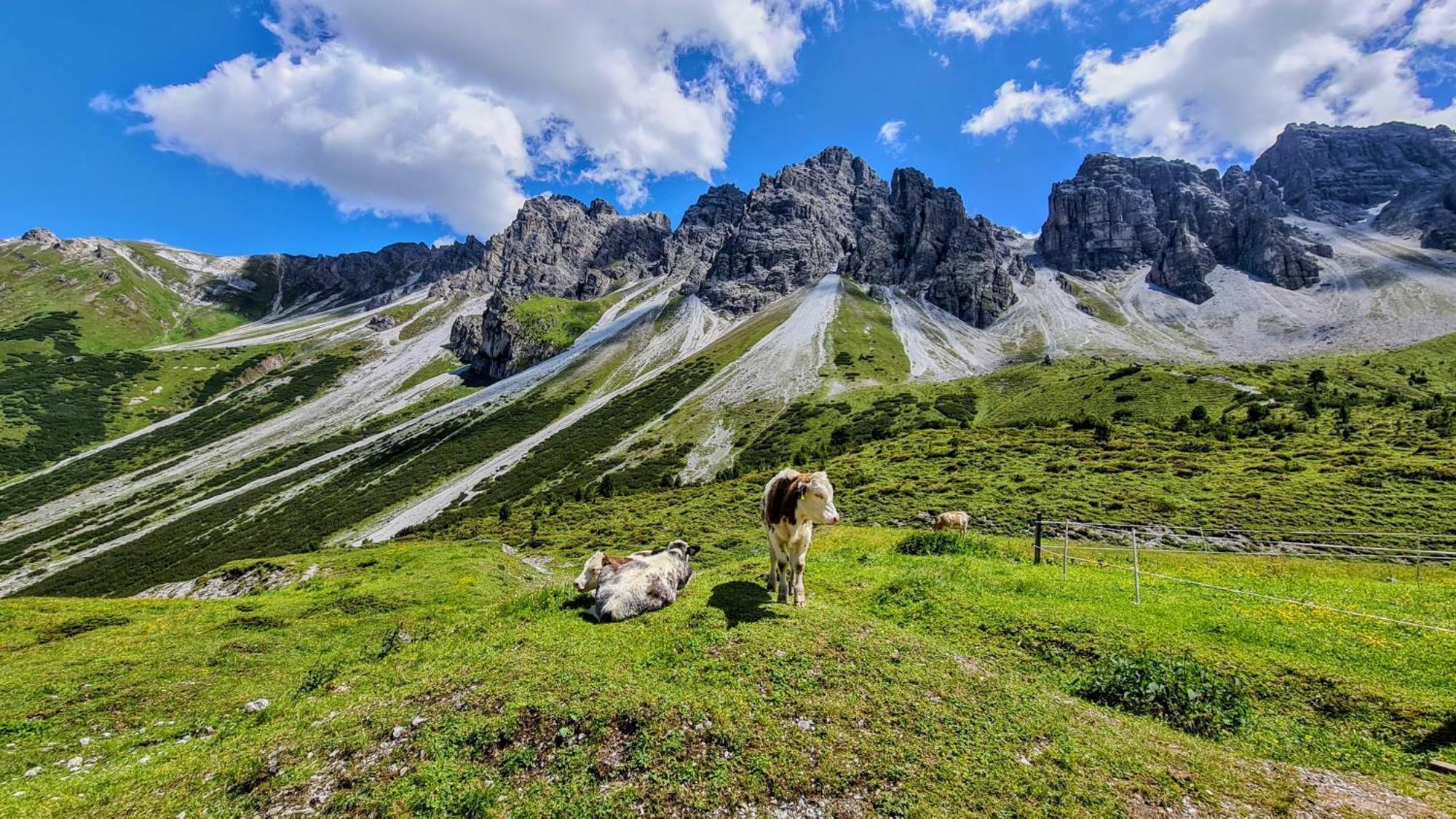 Gaestehaus Landhaus Tyrol กรีส อิม เซลเรน ภายนอก รูปภาพ