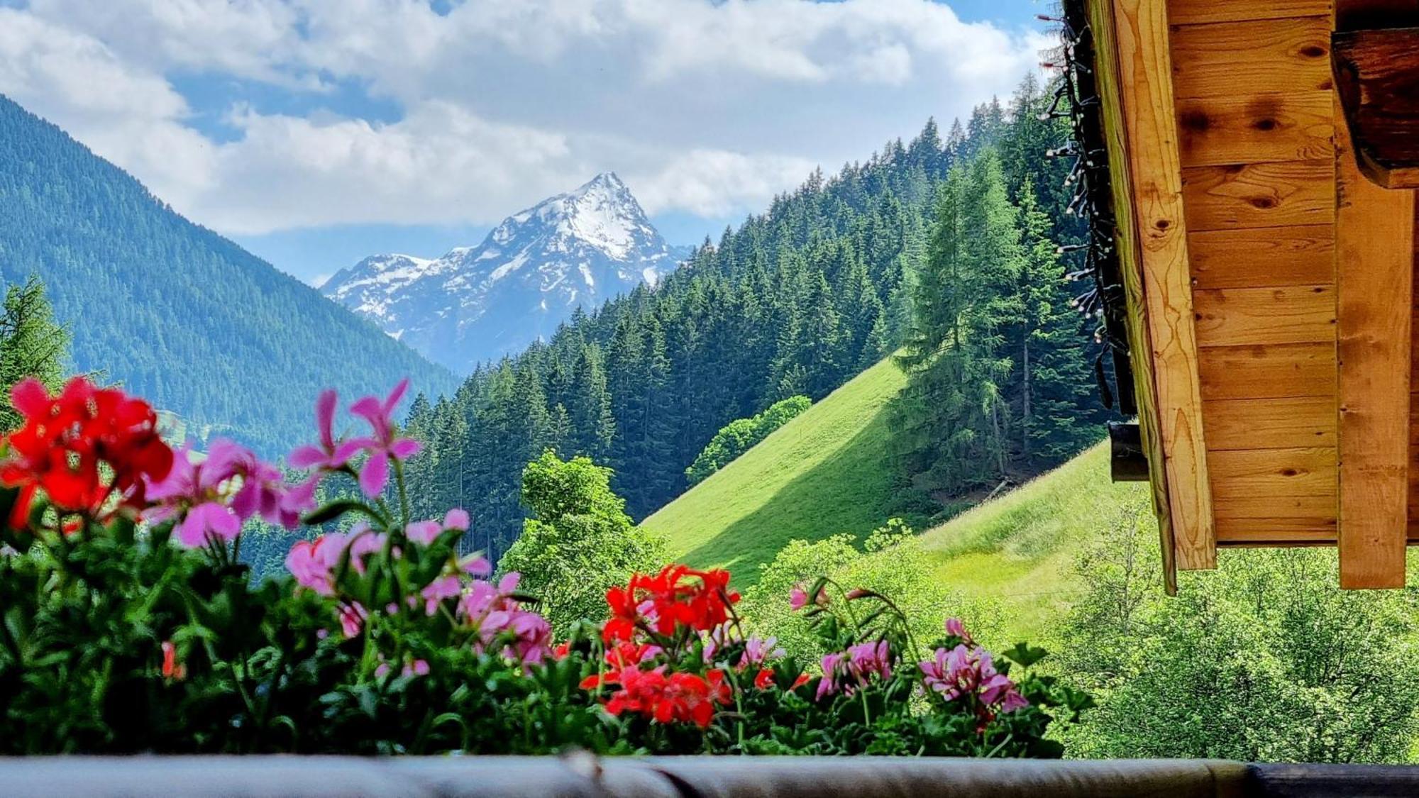 Gaestehaus Landhaus Tyrol กรีส อิม เซลเรน ภายนอก รูปภาพ