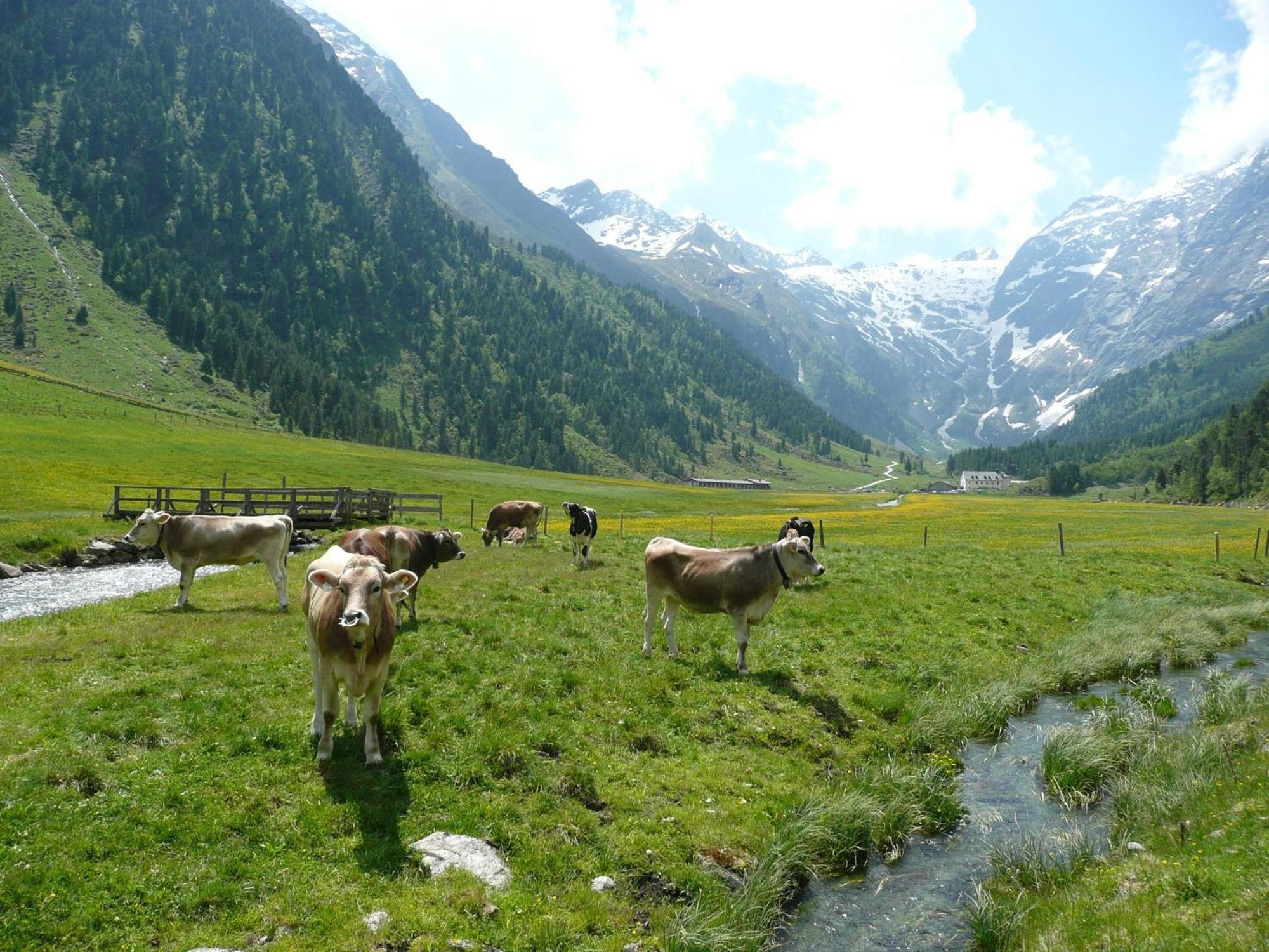 Gaestehaus Landhaus Tyrol กรีส อิม เซลเรน ภายนอก รูปภาพ